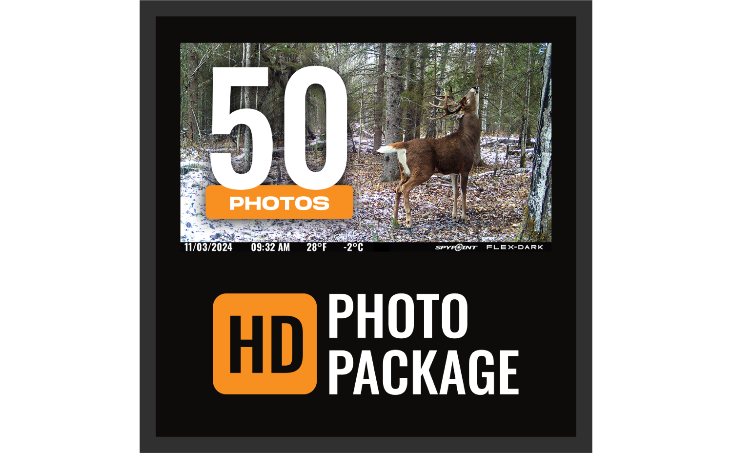 50 HD Photo Package